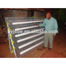 pyramid type Layer Quail Cages for Sale in Nigeria